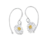 Silver daisy earrings with gold centers on a white background