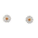 Sterling Silver daisy stud earrings with an 18ct gold plate centre. shown on a white background.