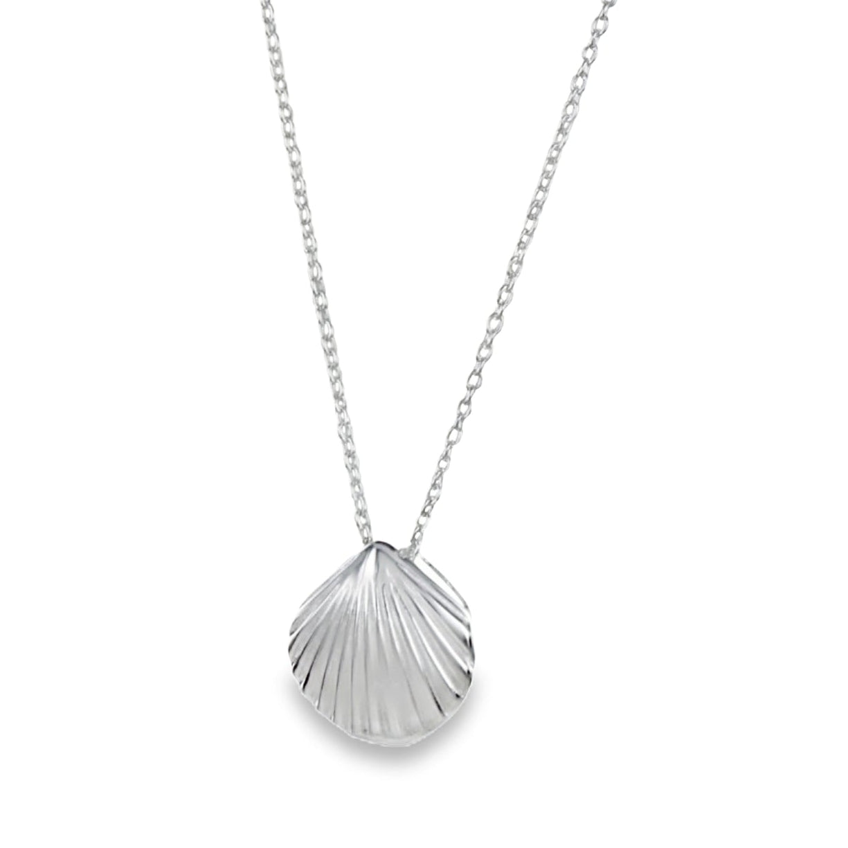 A silver scallop shell necklace hanging on a silver adjustable chain.
