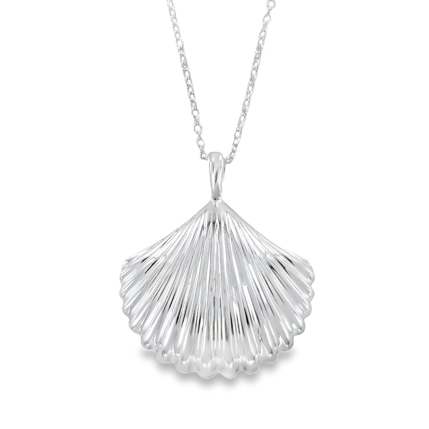 Large Scallop Shell Sterling Silver Necklace - Reeves & Reeves