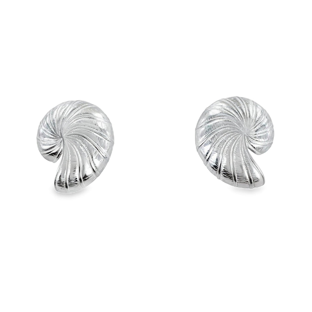 Nautilus Shell Stud Earrings - Reeves & Reeves
