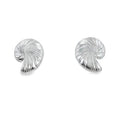 Nautilus Shell Stud Earrings - Reeves & Reeves