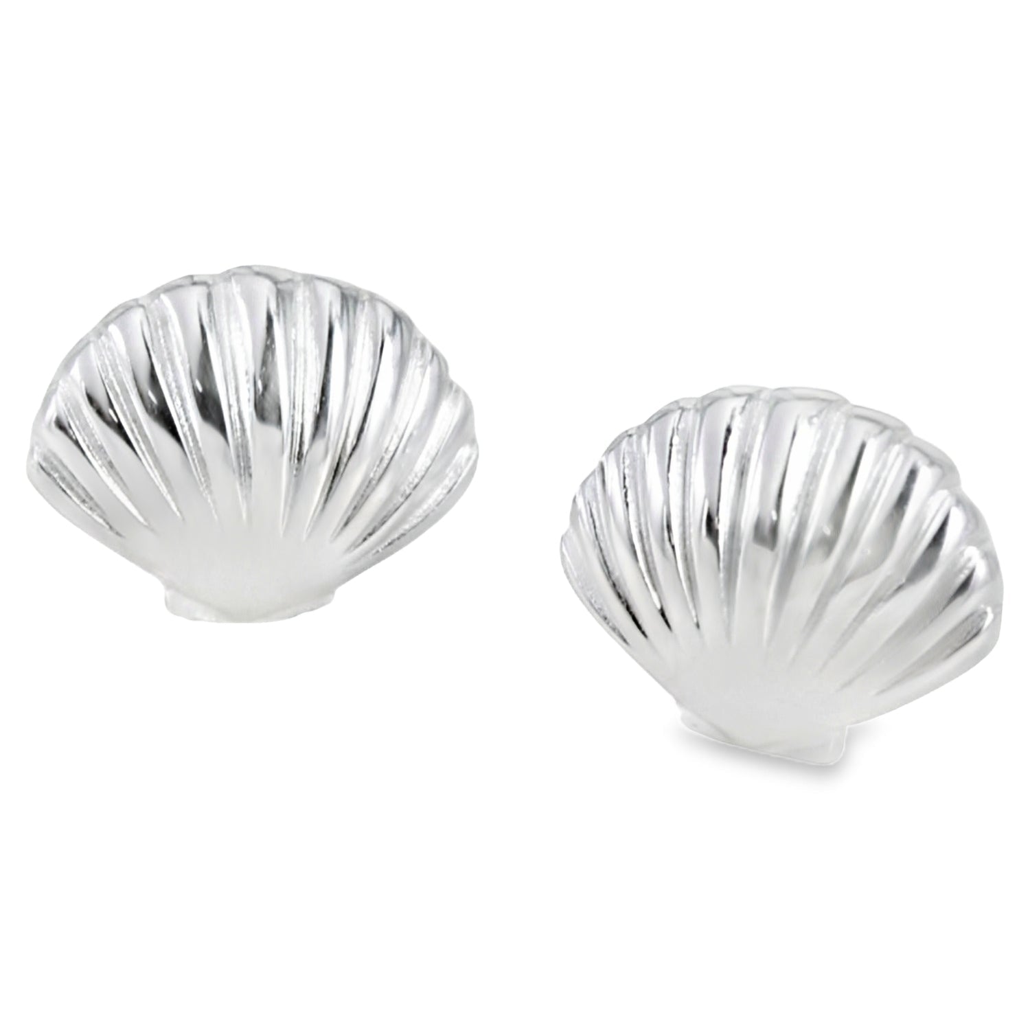 Scallop Shell Sterling Silver Stud Earrings - Reeves & Reeves