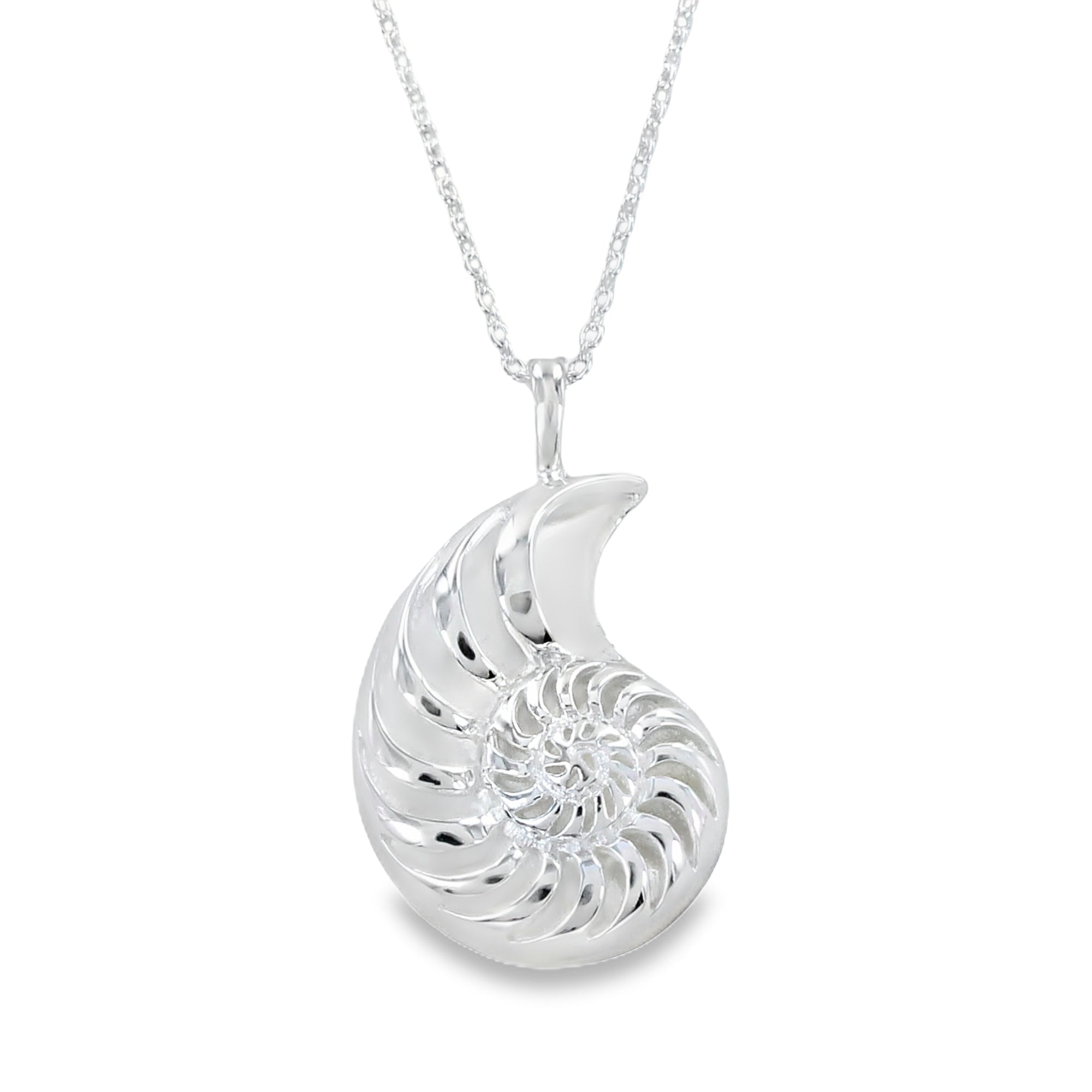 Sterling Silver Jurassic Coast Ammonite Necklace - Reeves & Reeves