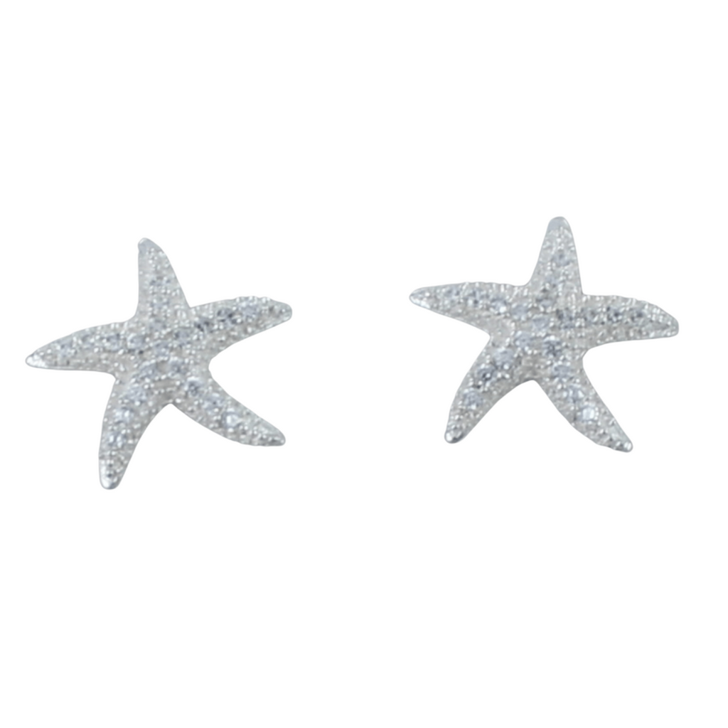 Sterling silver 2025 sparkly earrings