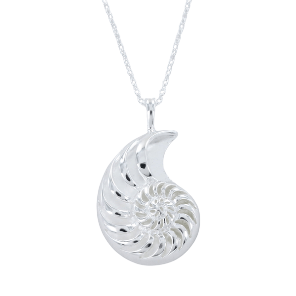 Sterling Silver Jurassic Coast Ammonite Necklace - Reeves & Reeves